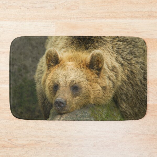 Item preview, Resting Brown Bear  designed and sold by rawshutterbug.