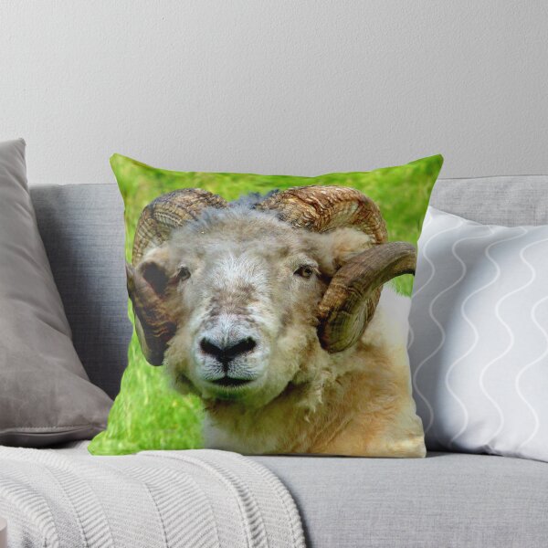 Item preview, Head Gear! - Merino  - Sheep - NZ designed and sold by AndreaEL.