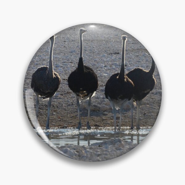Item preview, Ostriches at a waterhole designed and sold by Speedy.