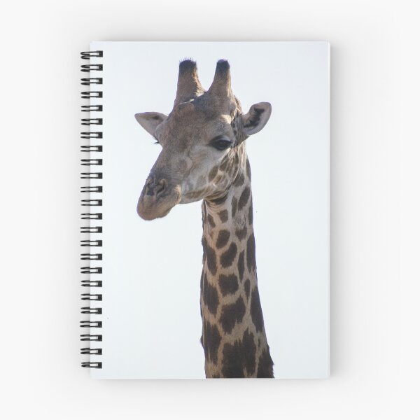 Aperçu de l'œuvre Girafe créée et vendue par Speedy.