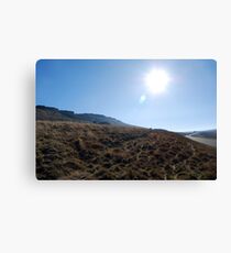 Sunny moor Canvas Print