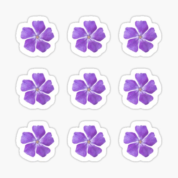 Item preview, Violet blossoms, realistic vinca major flowers designed and sold by StohlerPhotos.