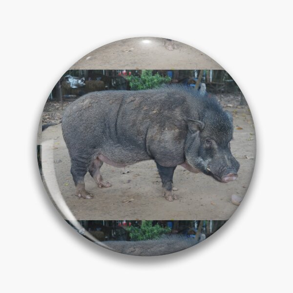 Item preview, big boar designed and sold by March Rider.