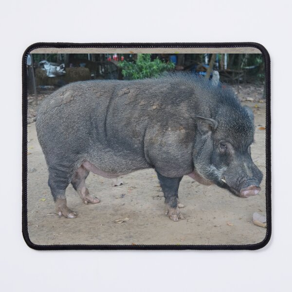 Item preview, big boar designed and sold by March Rider.