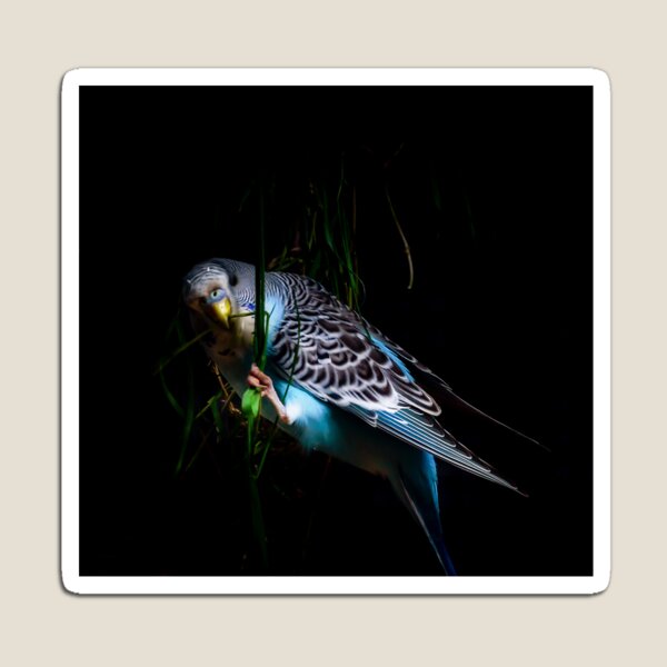 Item preview, Little Boy Blue designed and sold by RichardSayer.