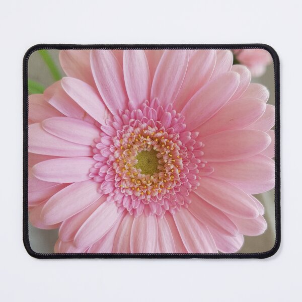 Item preview, Pink Gerbera designed and sold by ellenhenry.