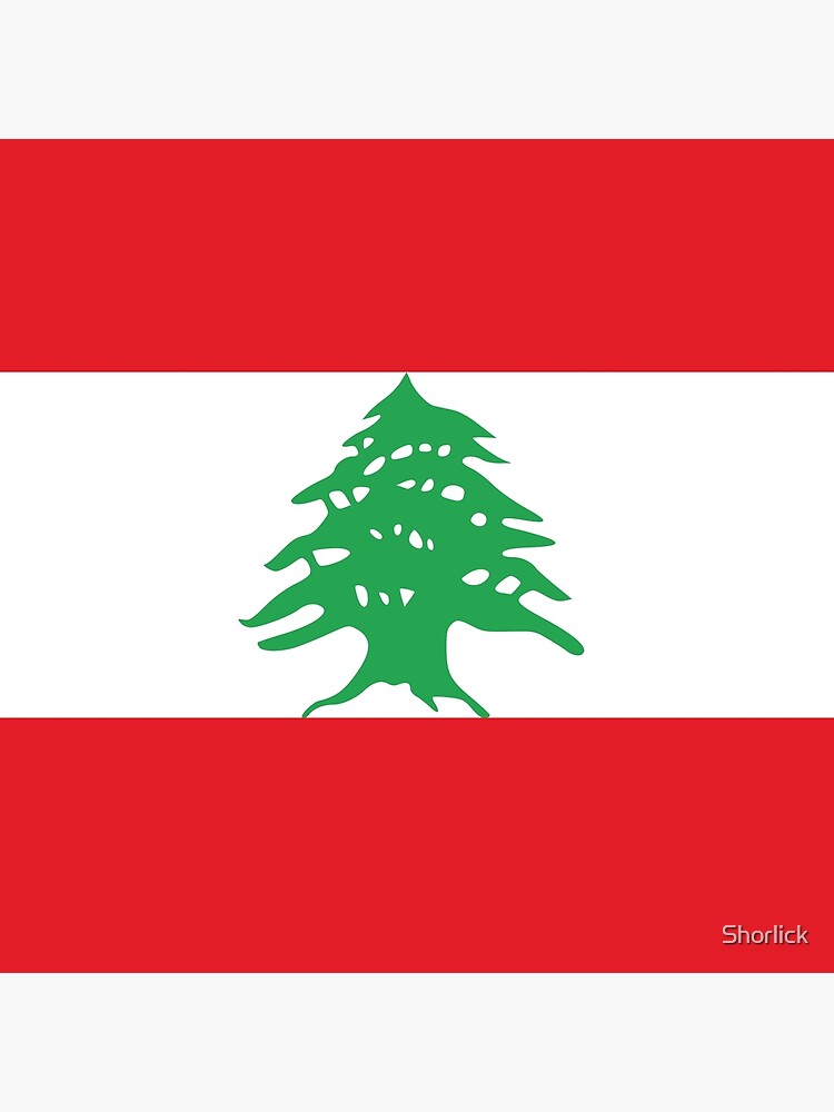 Aperçu 3 sur 3. Coussin avec l'œuvre Drapeau du Liban créée et vendue par Shorlick.