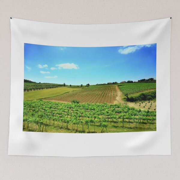 Item preview, Viñedos en Lacio designed and sold by annalisa56.
