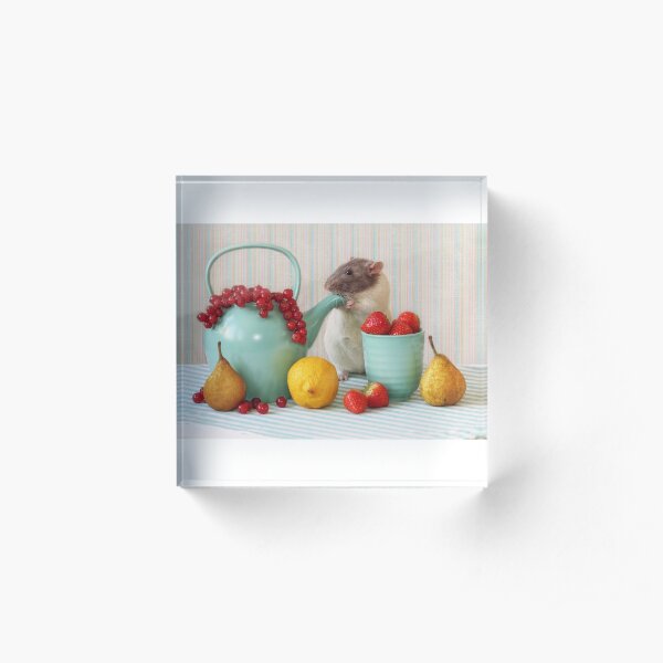 Snoozy loves fruit Acrylic Block