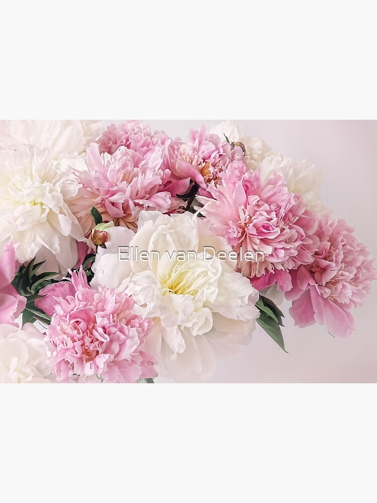 Peonies by Ellen