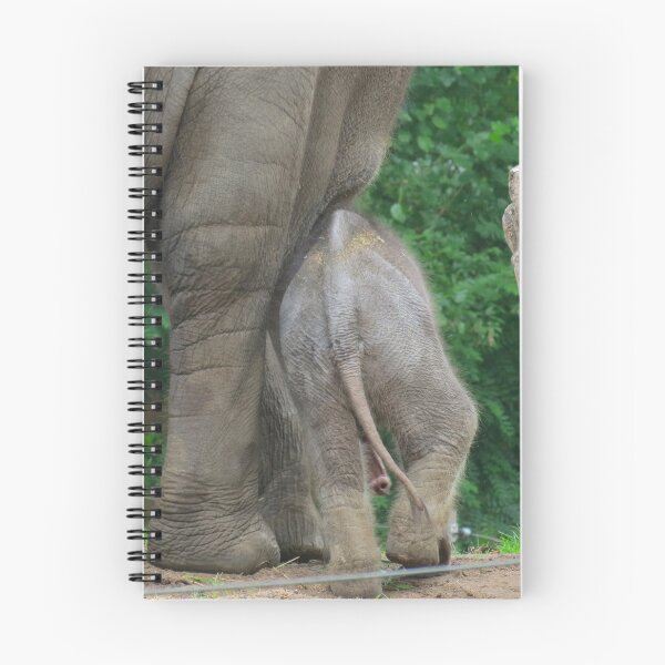 Item preview, ... Want een Olifant gaat door ... (Colonel Hathi Elephant March) designed and sold by Hans Bax.