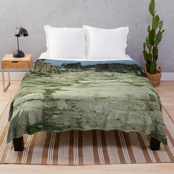 Item preview, Roadway of Pamukkale Photograph designed and sold by taiche.