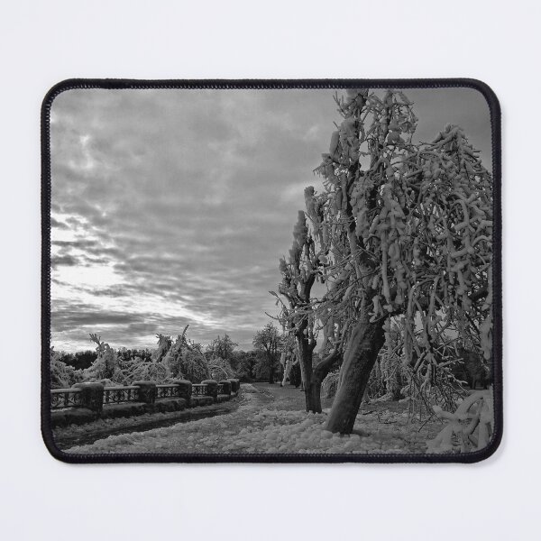 Item preview, Frozen In Time - Revisited - 3 - Drama In Monochrome © designed and sold by © Hany G. Jadaa © Prince John Photography.