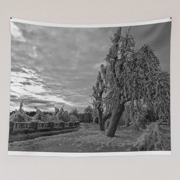 Item preview, Frozen In Time - Revisited - 3 - Drama In Monochrome © designed and sold by © Hany G. Jadaa © Prince John Photography.