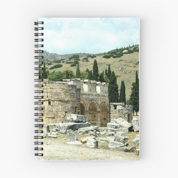 Item preview, Round Towers The Frontinus Gate Hierapolis designed and sold by taiche.