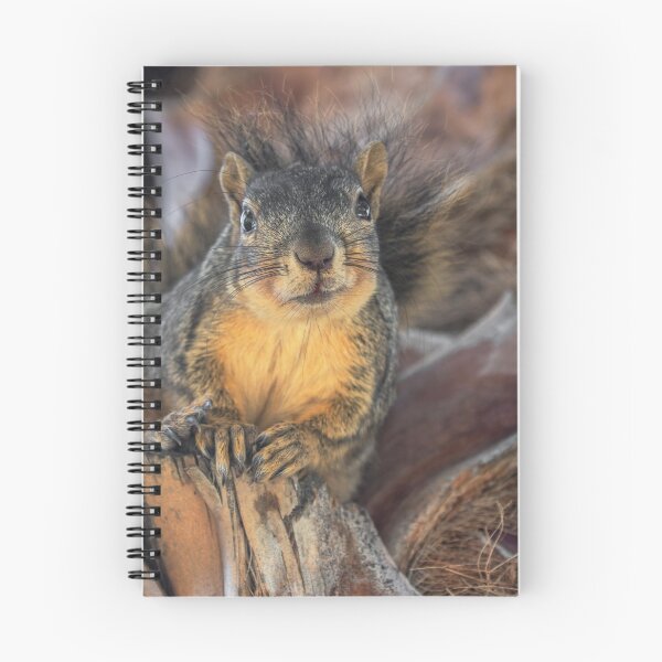 Item preview, Rascal designed and sold by zzsuzsa.