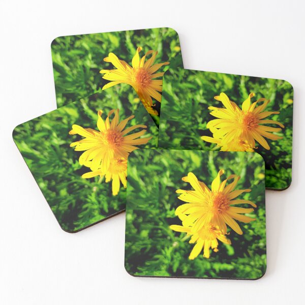 Item preview, Beauty designed and sold by Dreammkd.