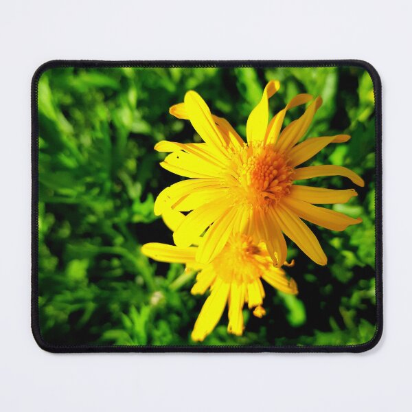 Item preview, Beauty designed and sold by Dreammkd.