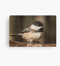 Chick - a - dee - dee - dee Canvas Print