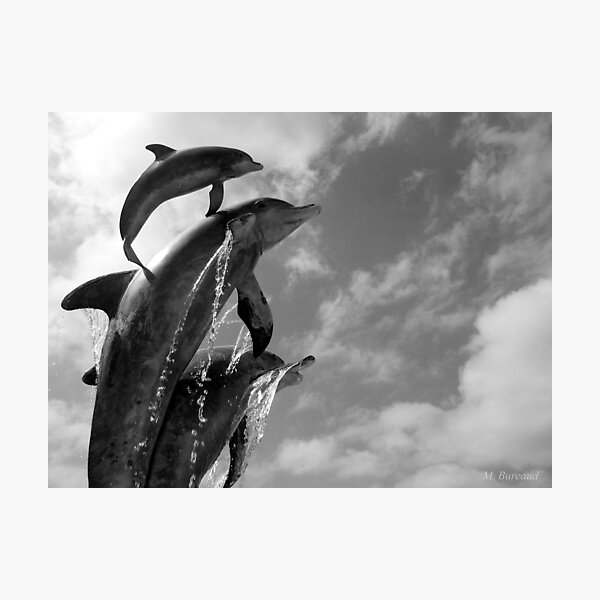 Item preview, Dolphins designed and sold by Bureaud.