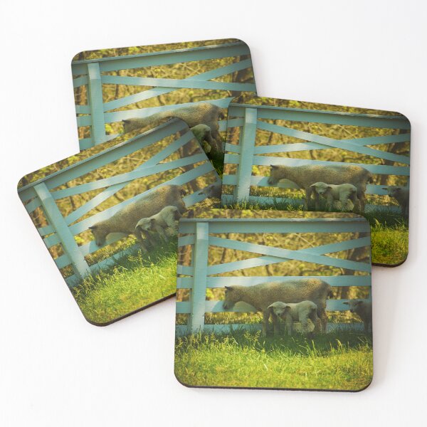 Item preview, Curiosity designed and sold by Melanie Uadjit.