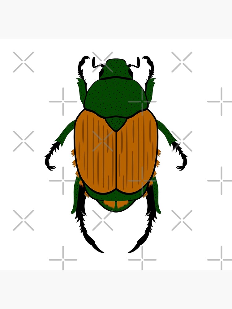 Japanese Beetle Poster For Sale By Juliafaranchuk Redbubble 5967