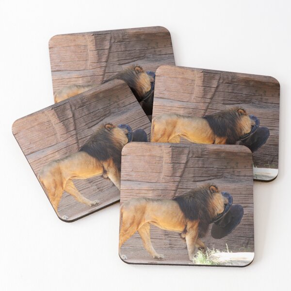 Item preview, Lion Showing Off designed and sold by Cynthia48.