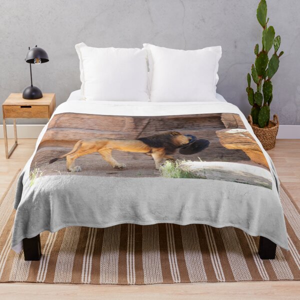 Item preview, Lion Showing Off designed and sold by Cynthia48.