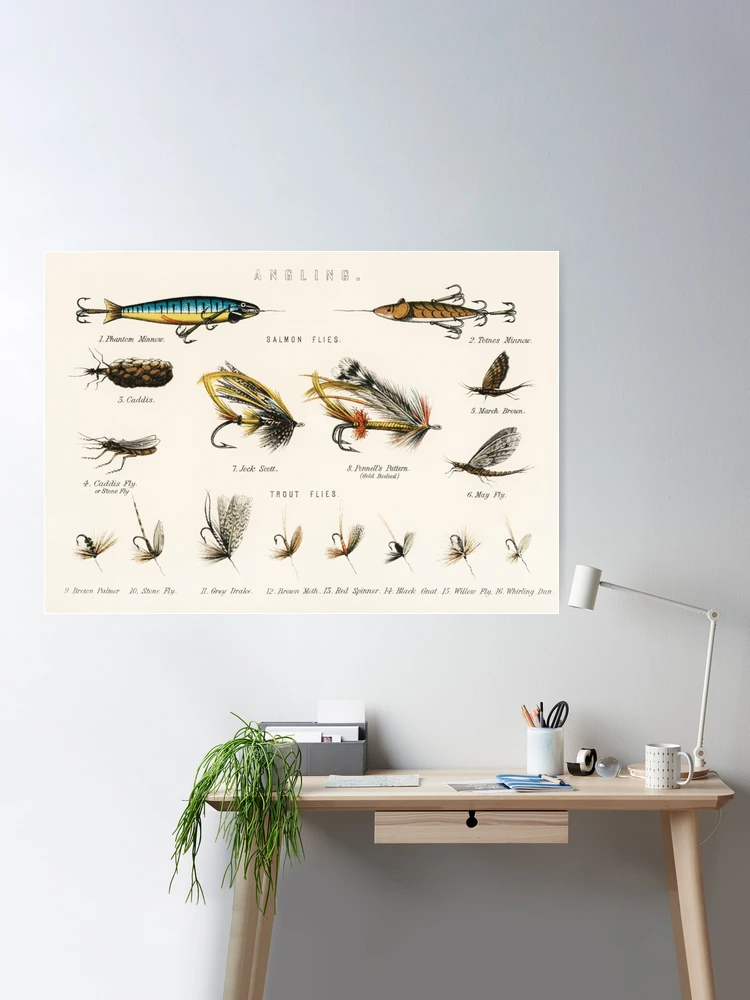 Fishing Art Print Chart of Fly Fishing Gear Caddis Flies Stone Fly Gift for  Fisherman Vintage Reproduction Fish Decor 8X10 11X14 -  Canada