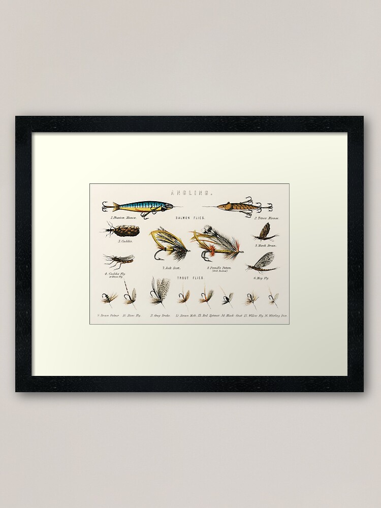 Fly Fishing Chart Framed Art Print for Sale by bluespecsstudio