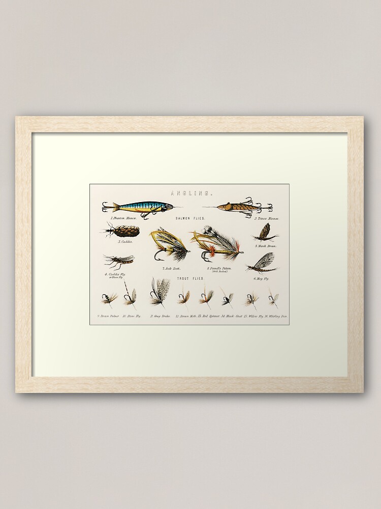 Fly Fishing Chart Framed Art Print for Sale by bluespecsstudio