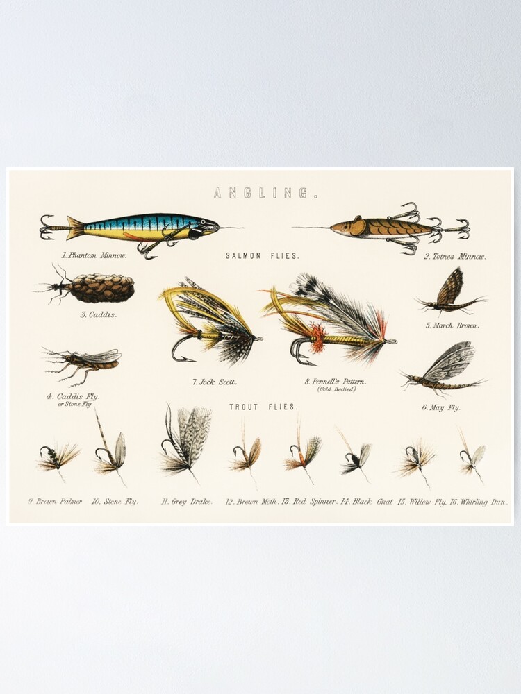 How To Use Fly Fishing Knots Wall Art, Types Of Fly Fishing Lures Poster,  How To Protect Your Fry Line Printing, Fly For Every Trout Occasion  Picture, NO FRAME - 16x24in Poster 