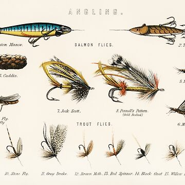 Fly Fishing Chart | Framed Art Print