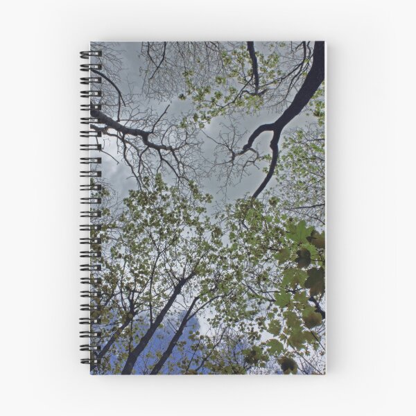 Item preview, Tree canopy in the spring designed and sold by Avril Harris.