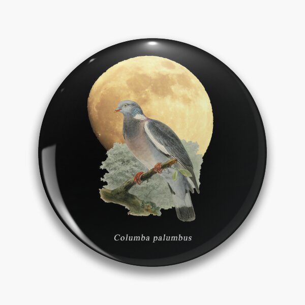 Aperçu de l'œuvre OBV – Palombe – Columba palombus créée et vendue par vb66.