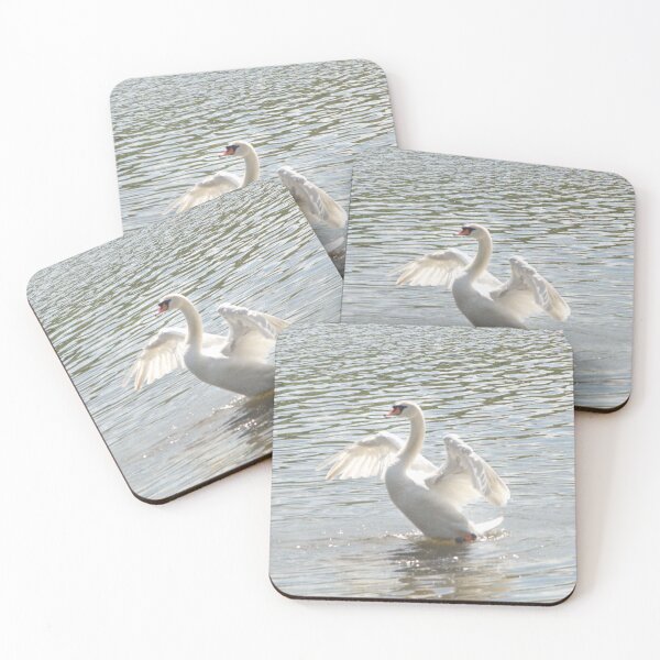 Item preview, Mute Swan designed and sold by days-photographic.