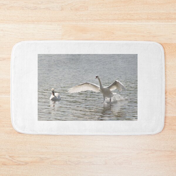 Item preview, Mute Swan Landing designed and sold by days-photographic.