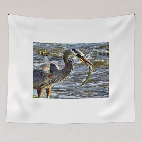 Item preview, Great Blue Heron With A Fish - Florida designed and sold by jtrommer.