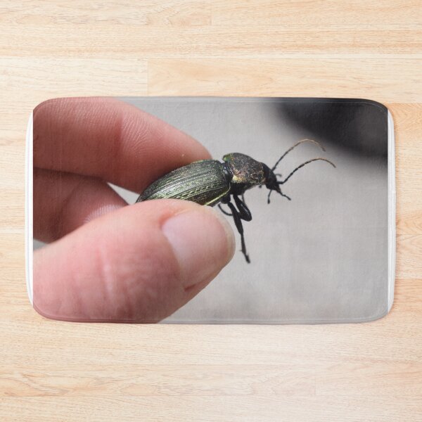 Item preview, Necklace ground beetle (Carabus monilis) held in hand 1 designed and sold by Furiarossa.