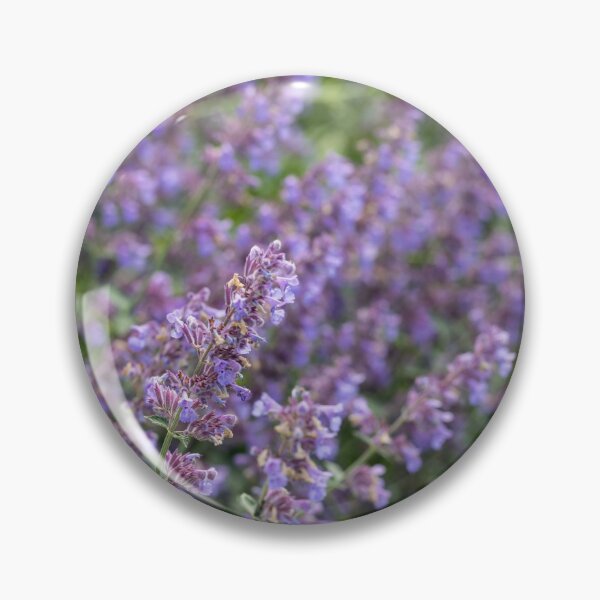 Item preview, Nepeta Grandiflora Flowers designed and sold by Tanya C  Smith.