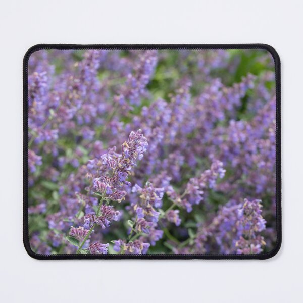 Item preview, Nepeta Grandiflora Flowers designed and sold by Tanya C Smith.