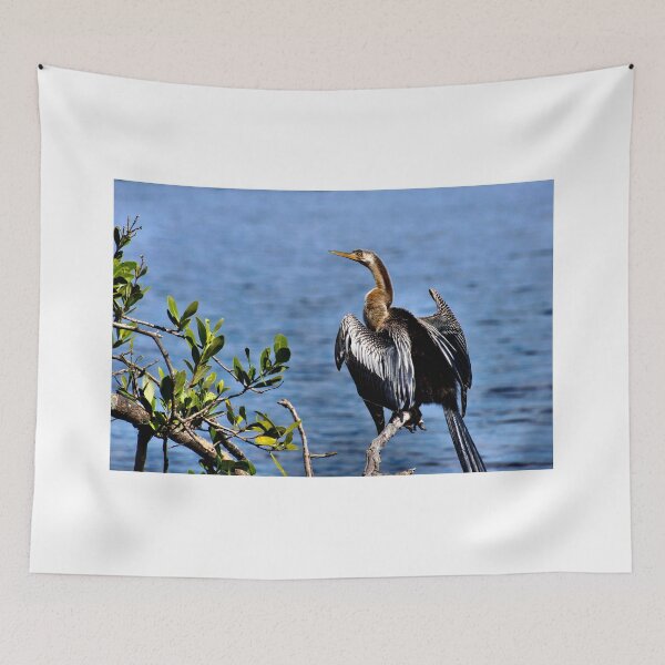 Item preview, Anhinga 1 - Florida designed and sold by jtrommer.