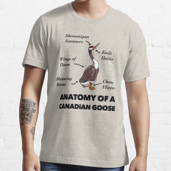 Aperçu de l'œuvre Anatomie d'une oie canadienne créée et vendue par TheUnknown93.