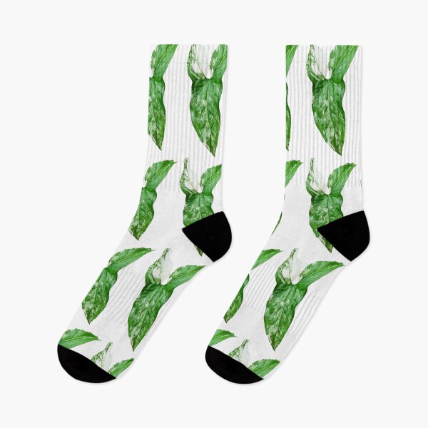 Item preview, Unique and organic photo of a Syngonium Albo 5 designed and sold by AvonPerception.