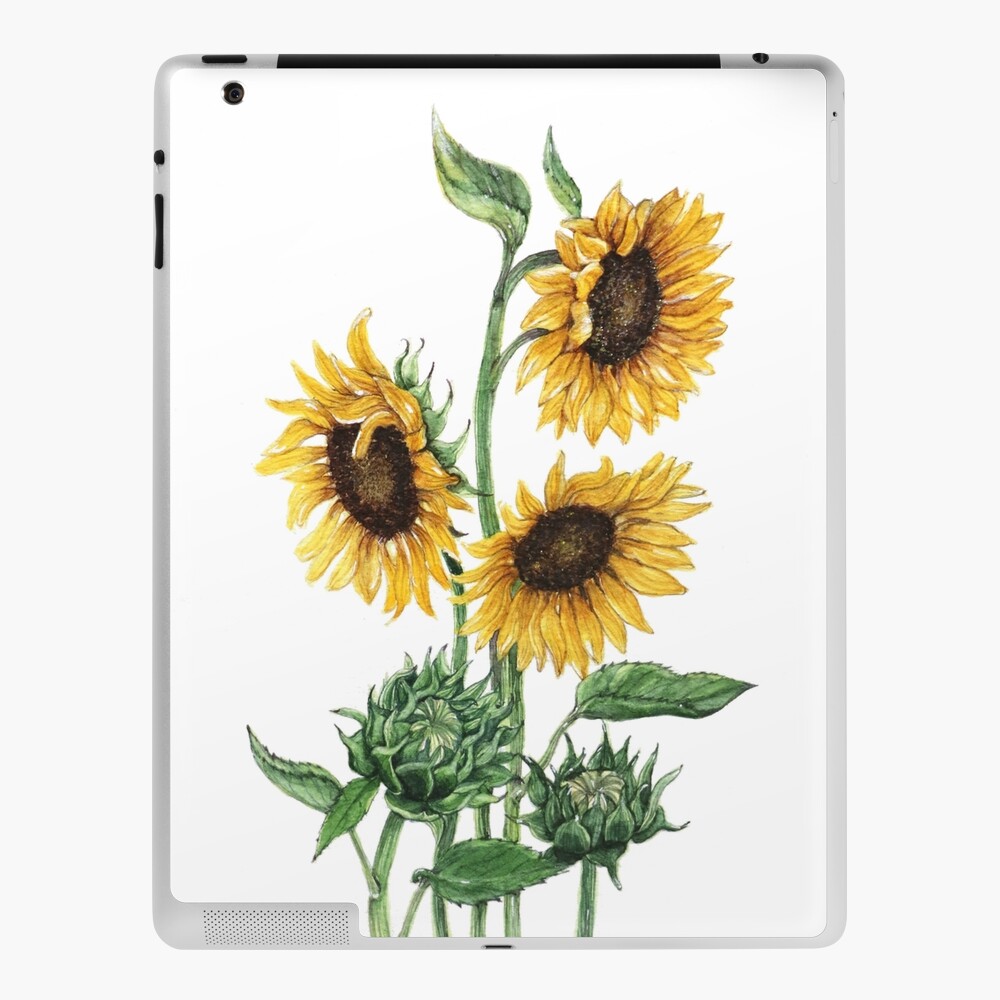 上品】 Sun Flower (size12x16) 原画 絵画 - powertee.com
