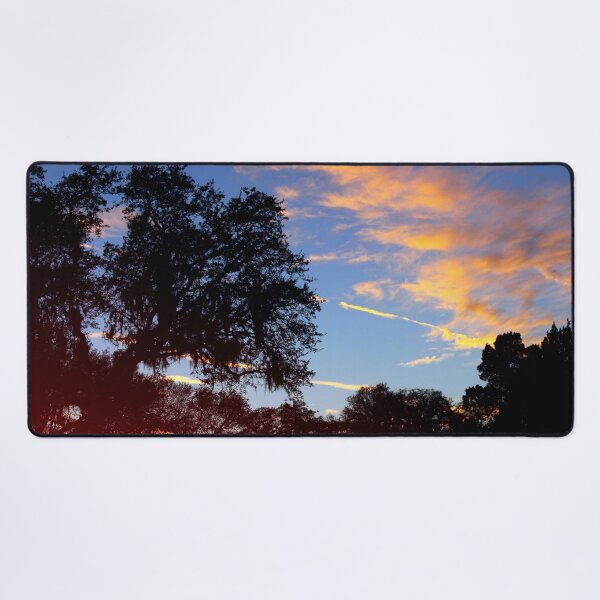 Item preview, Dark trees at sunset designed and sold by B. Randi Bailey.