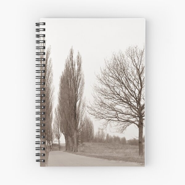 Item preview, camino y árboles 2 sepia designed and sold by CasparTheRiddle.
