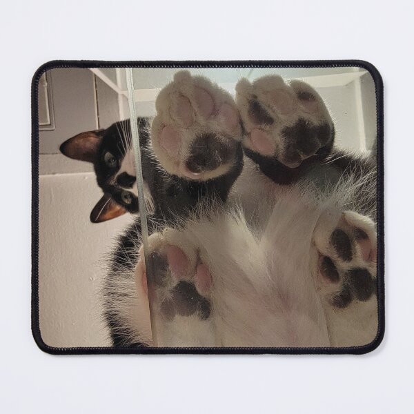 Item preview, Tuxedo kitty paws on glass shelve. designed and sold by imyournightmare.