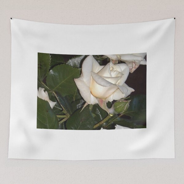 Item preview, White Rose And Bud designed and sold by lezvee.