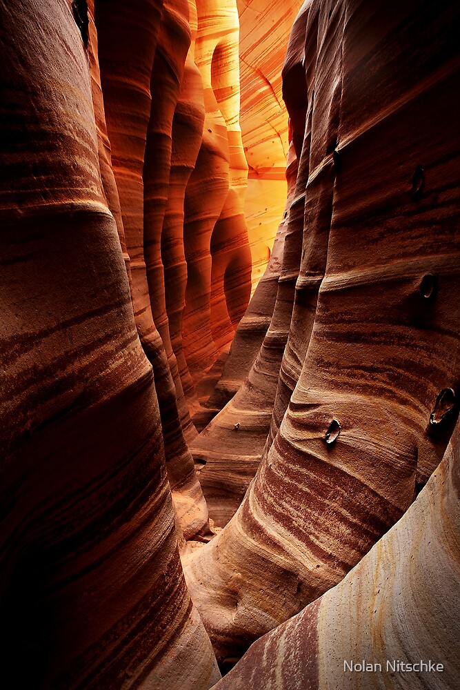 zebra slot canyon